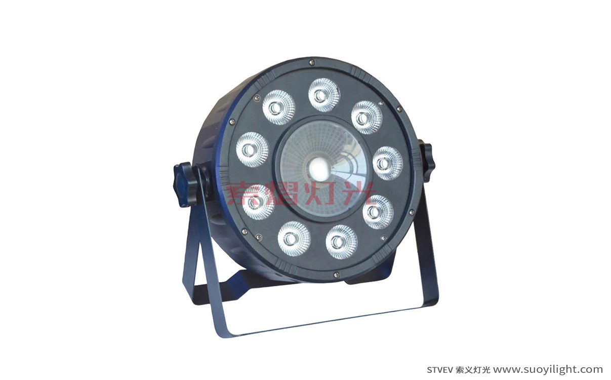 Saudi-Arabia9+1 LED Plastic Par Light wholesale