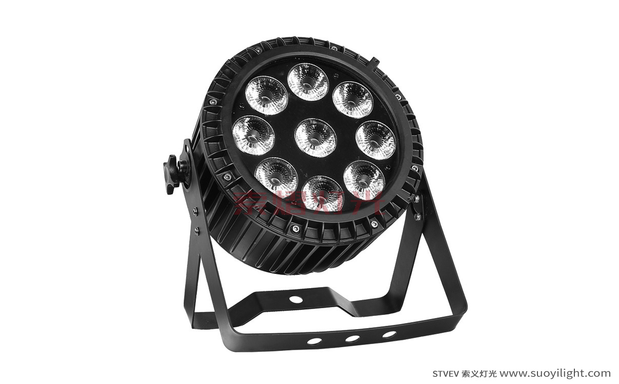 Saudi-Arabia9*12W 4 in 1 Waterproof LED Par Light supplier