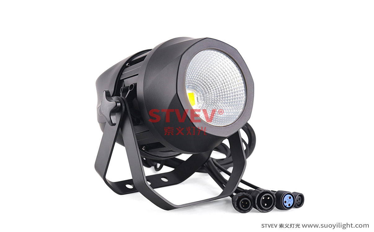 Saudi-Arabia200W Waterproof COB Par Light