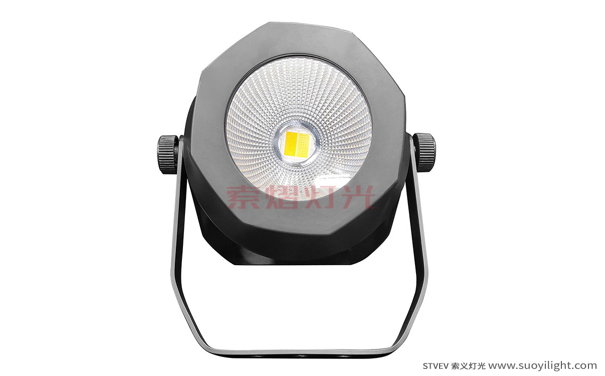 Saudi-Arabia200W Waterproof COB Par Light quotation