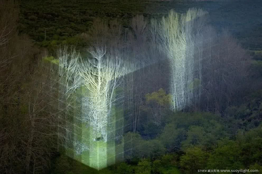 Saudi-Arabia奥斯坦基诺公园亮化